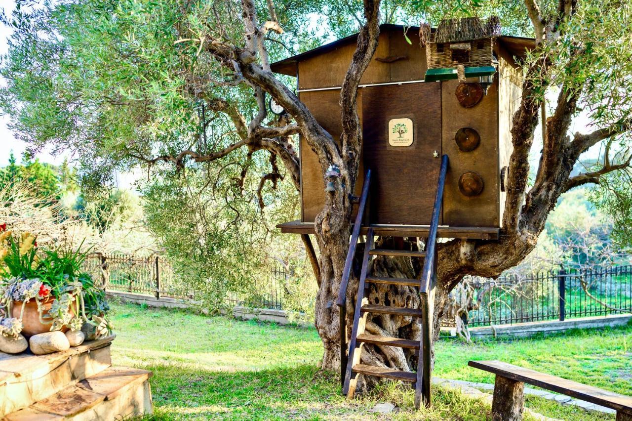 Kastri Treehouse Apartment Nikiti  Exterior photo